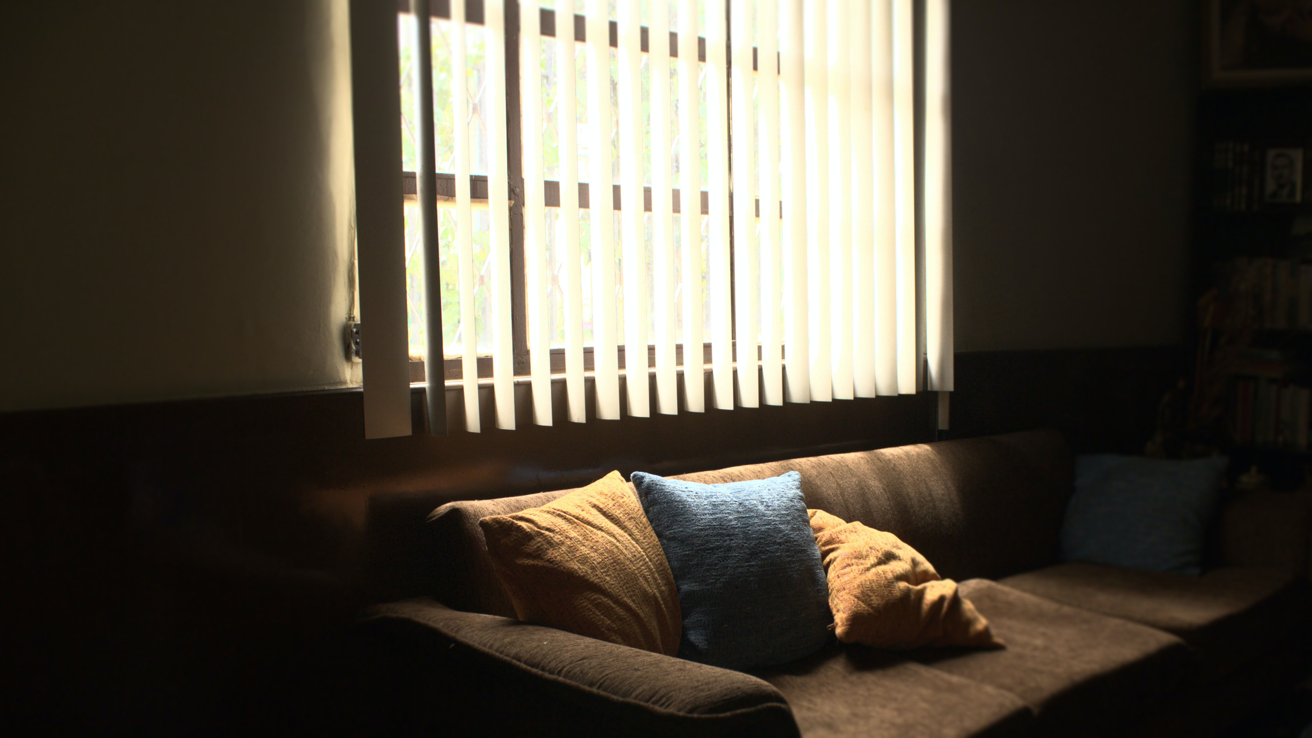 Designer Cushions